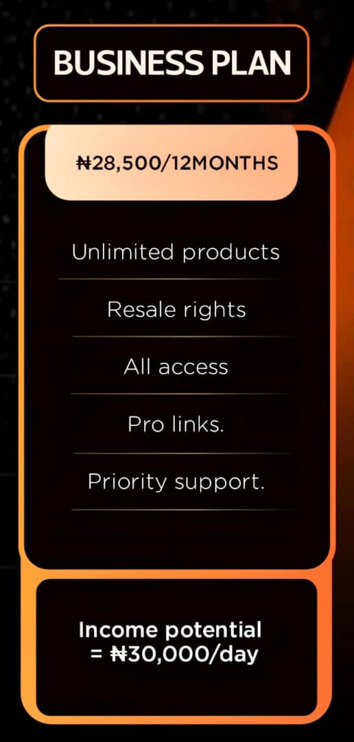 MAGNUS Business plan